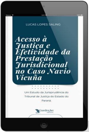 Acesso à Justiça e Efetividade da Prestação Jurisdicional no Caso Navio Vicuña: Um Estudo da Jurisprudência do Tribunal de Justiça do Estado do Paraná